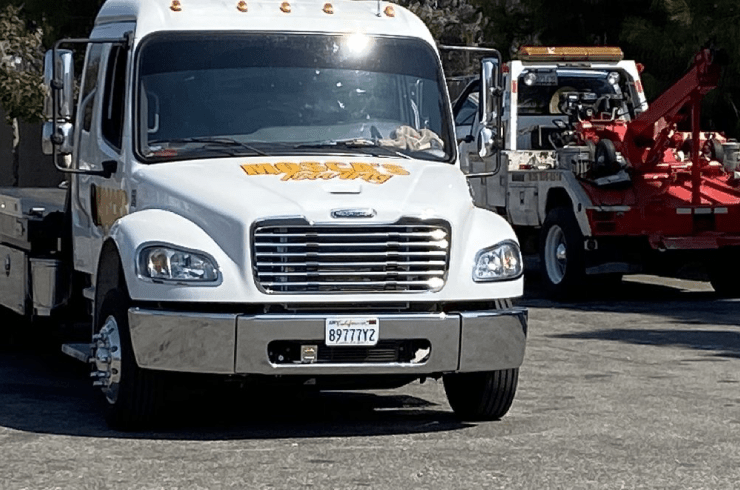 Moscas Towing 